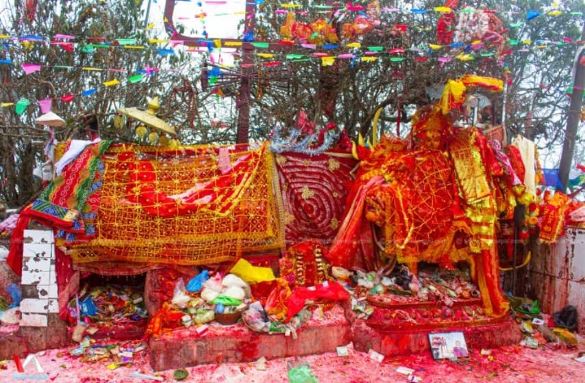 पाथीभरा म्याराथन र महोत्सव हुने