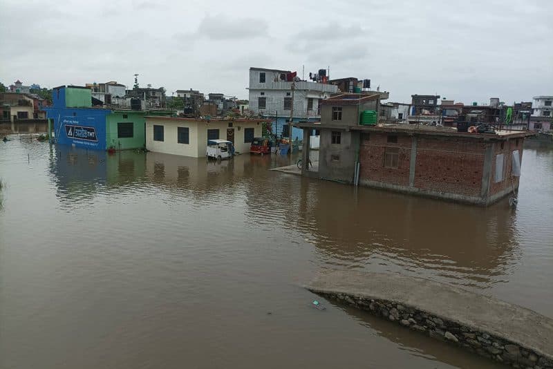 बाढीको वितण्डा : ‘वस्तुभाउ पनि खान नपाएर मर्ने भए’