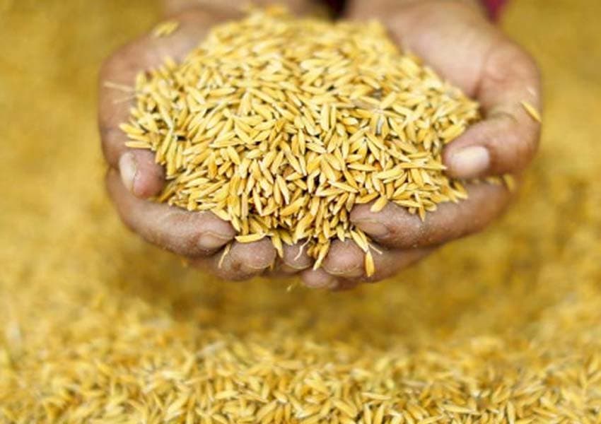 ‘जग्गा बेच्दै धान किनेर खाने बढे’