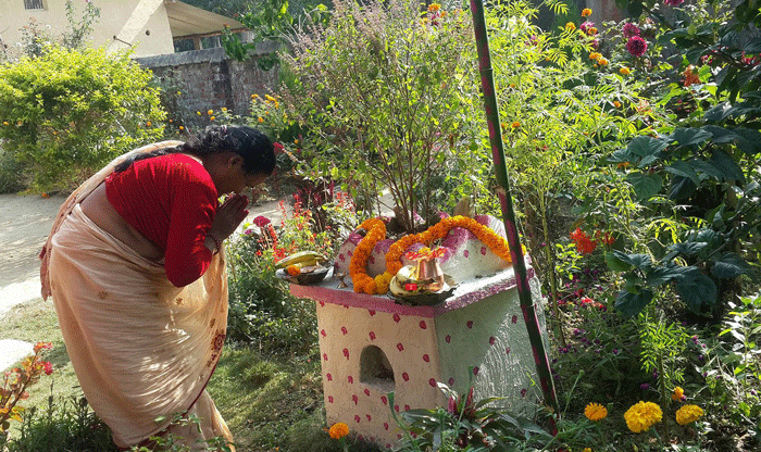 आज हरिबोधिनी एकादशी, तुलसी विवाह गरी मनाइँदै